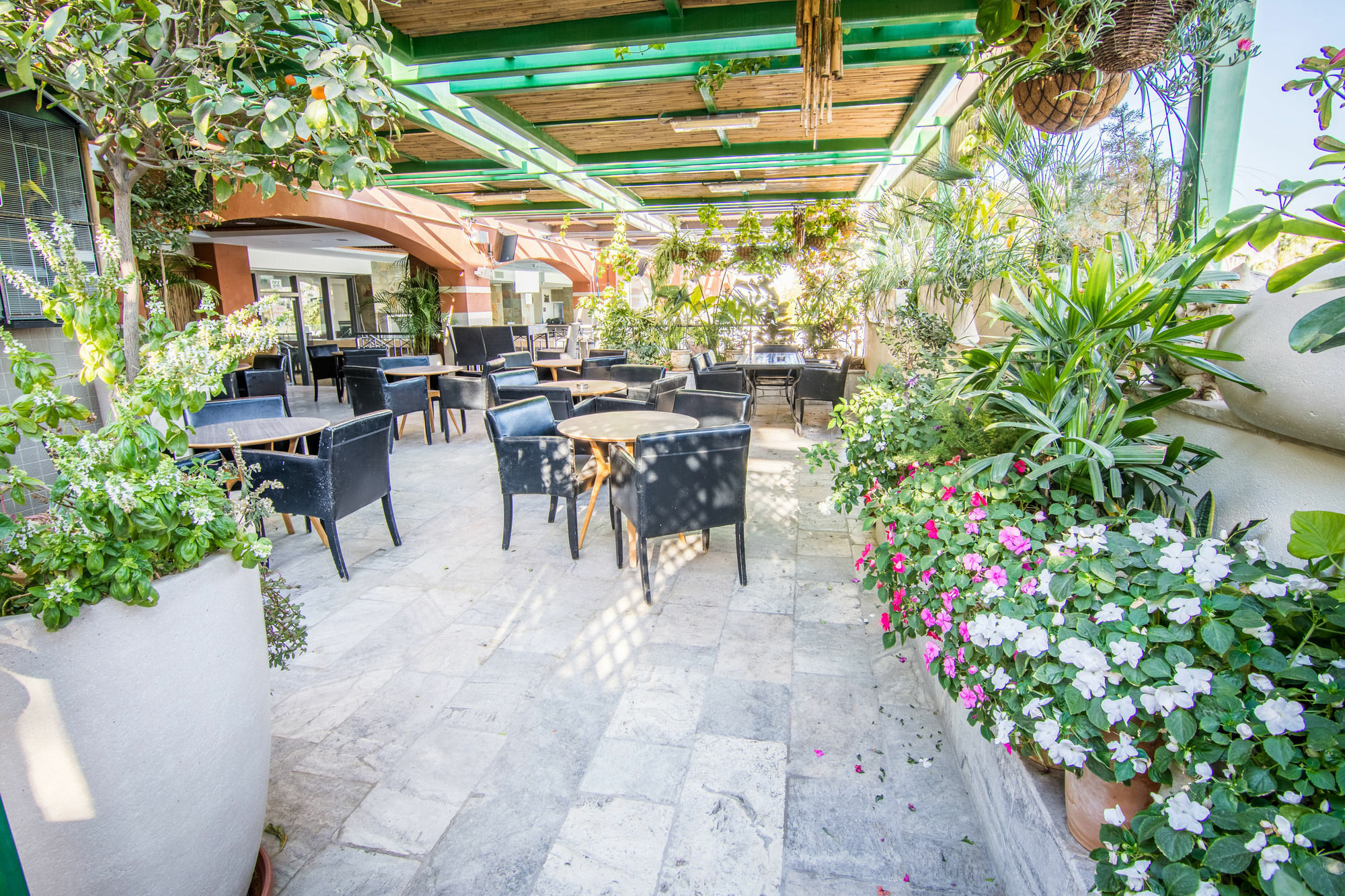 Comfort Hotel Ελάτ Εξωτερικό φωτογραφία
